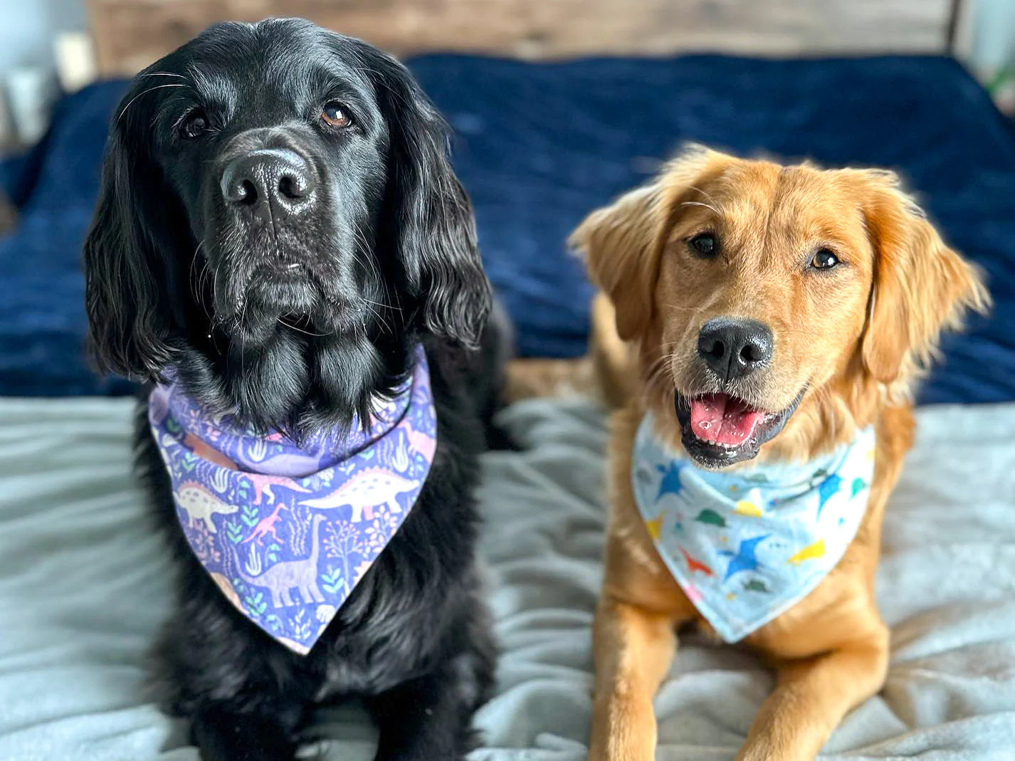 "Snowy Town" Dog Bandana - Image 4
