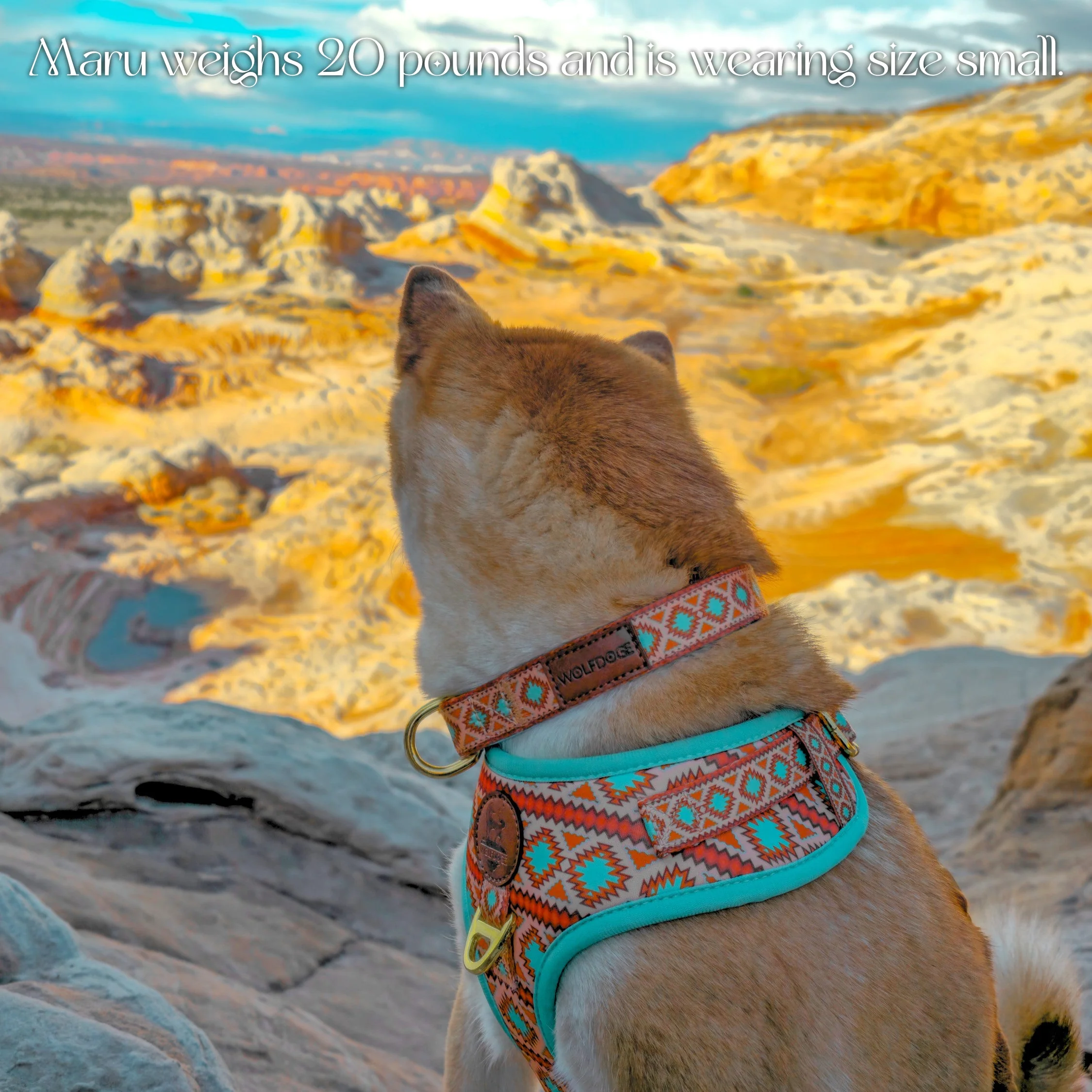 Southwest Spirit Collar - Image 4