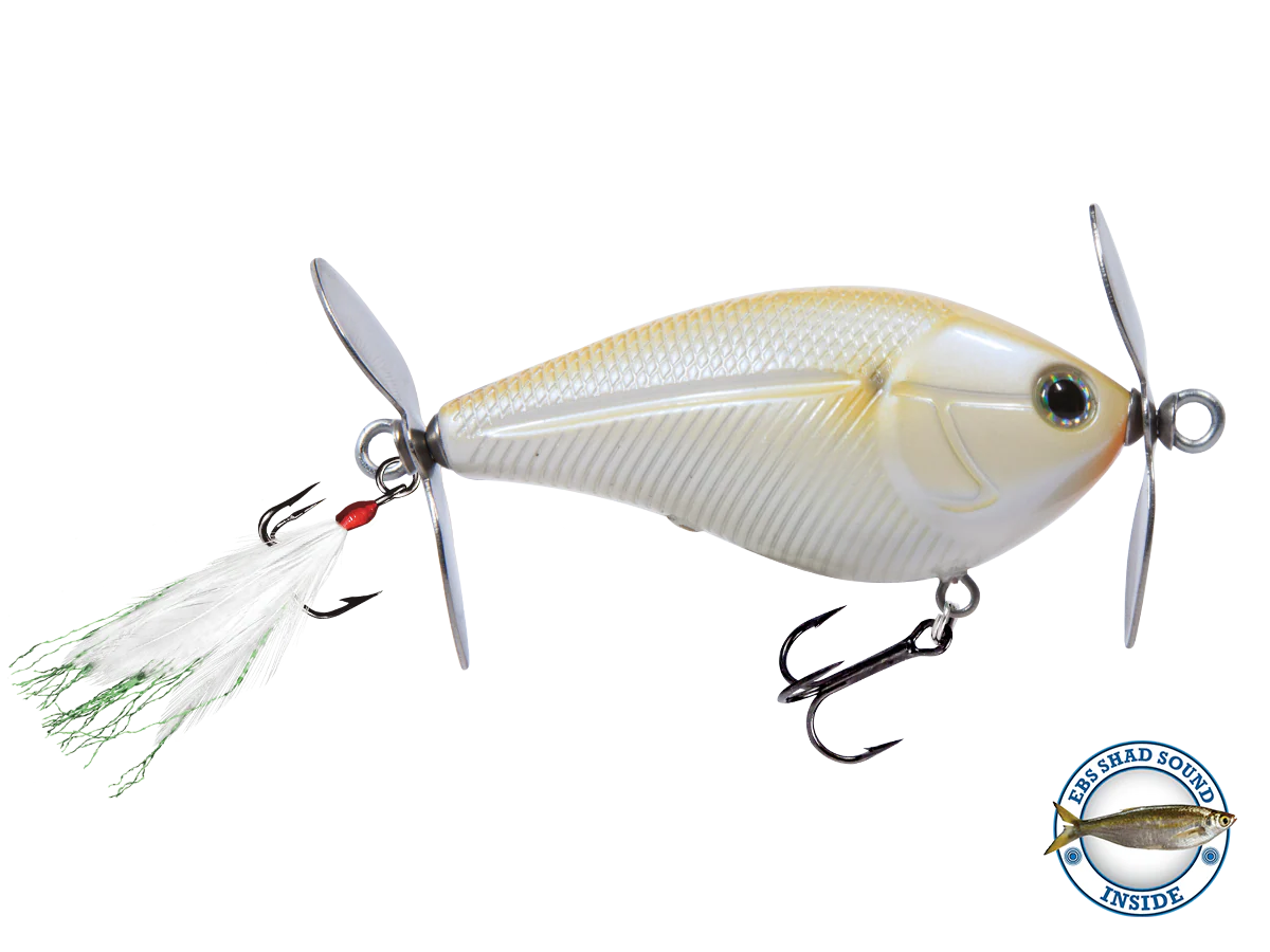 SpinMaster - Image 9