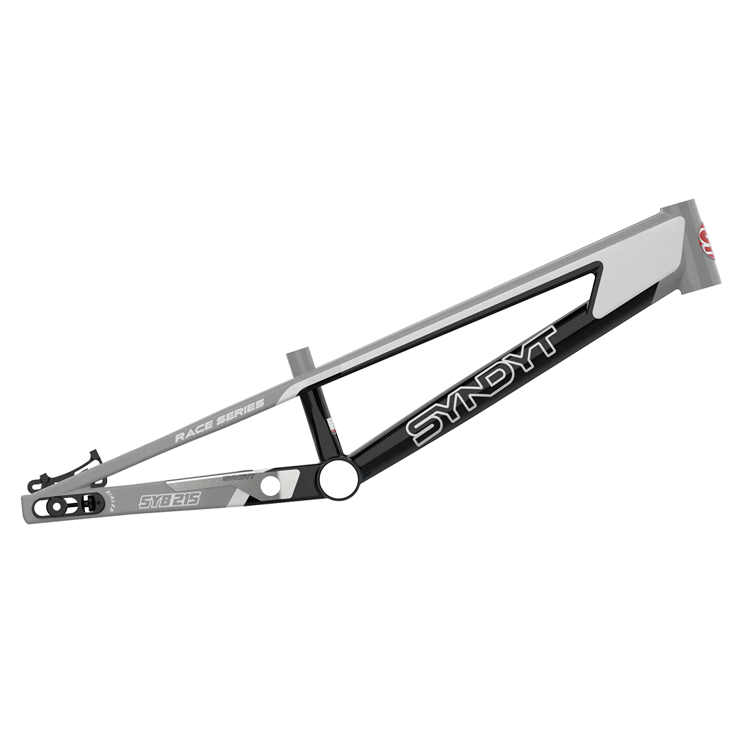 SYB 215: 21.5” TT Pro 2XL BMX Frame - Image 4