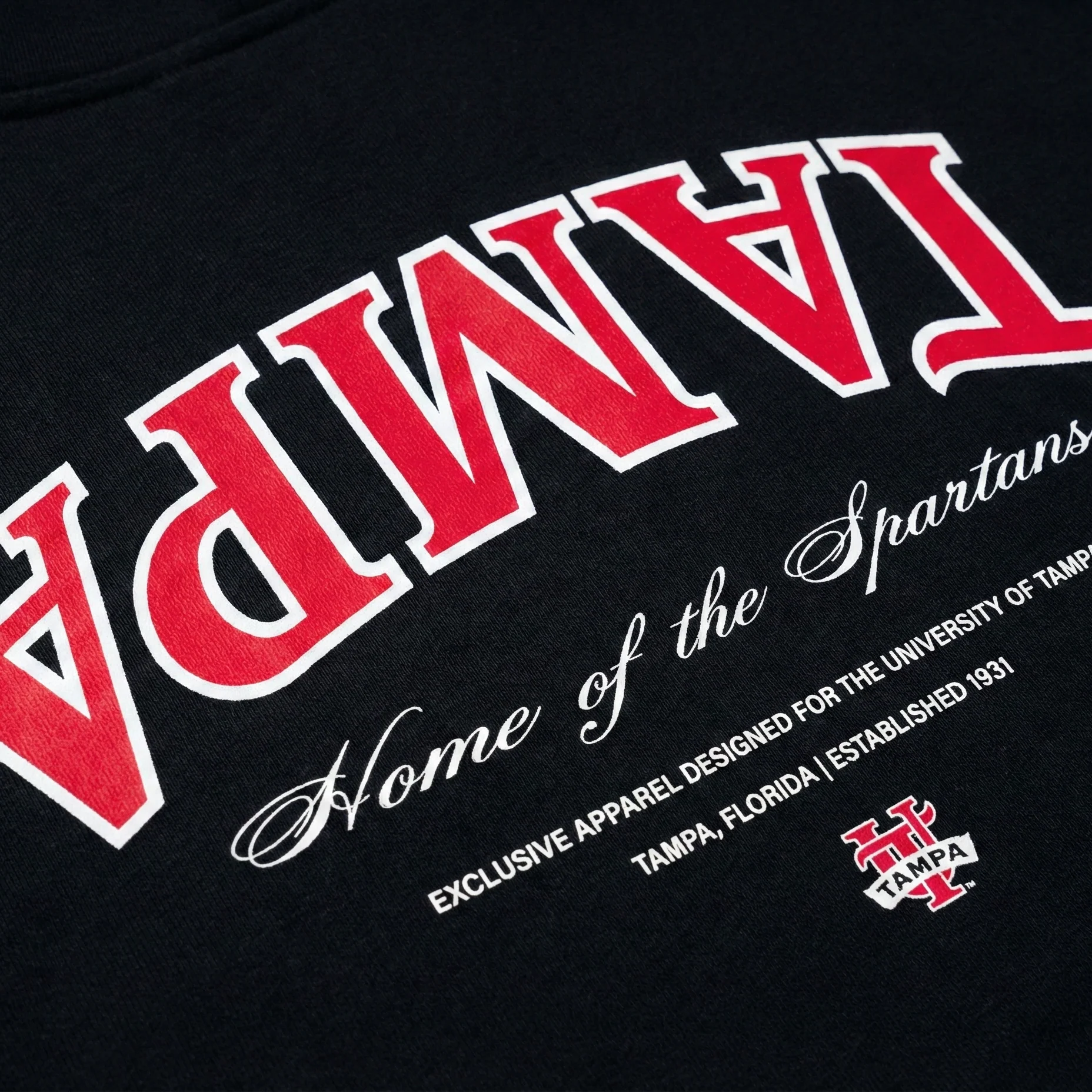 Tampa Essentials Oversized Tee - Image 4