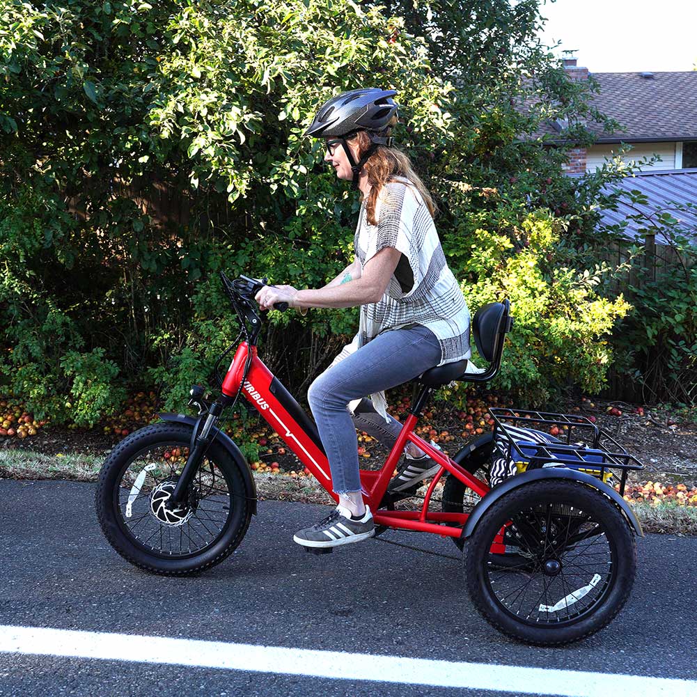 Viribus SC5 Fat Tire Electric Tricycle - Image 8