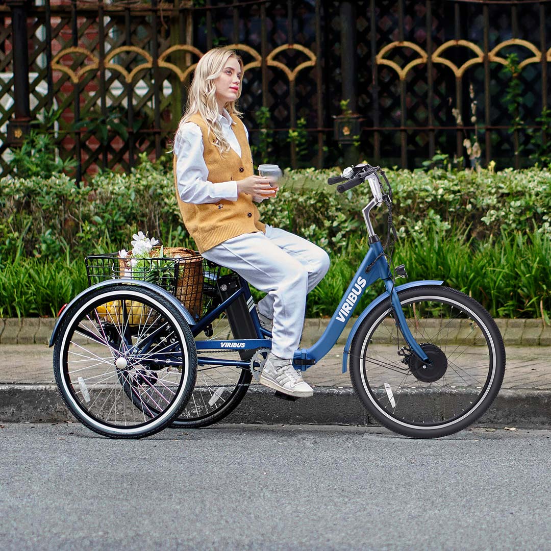 Viribus TG1 Folding Electric Tricycle - Image 12