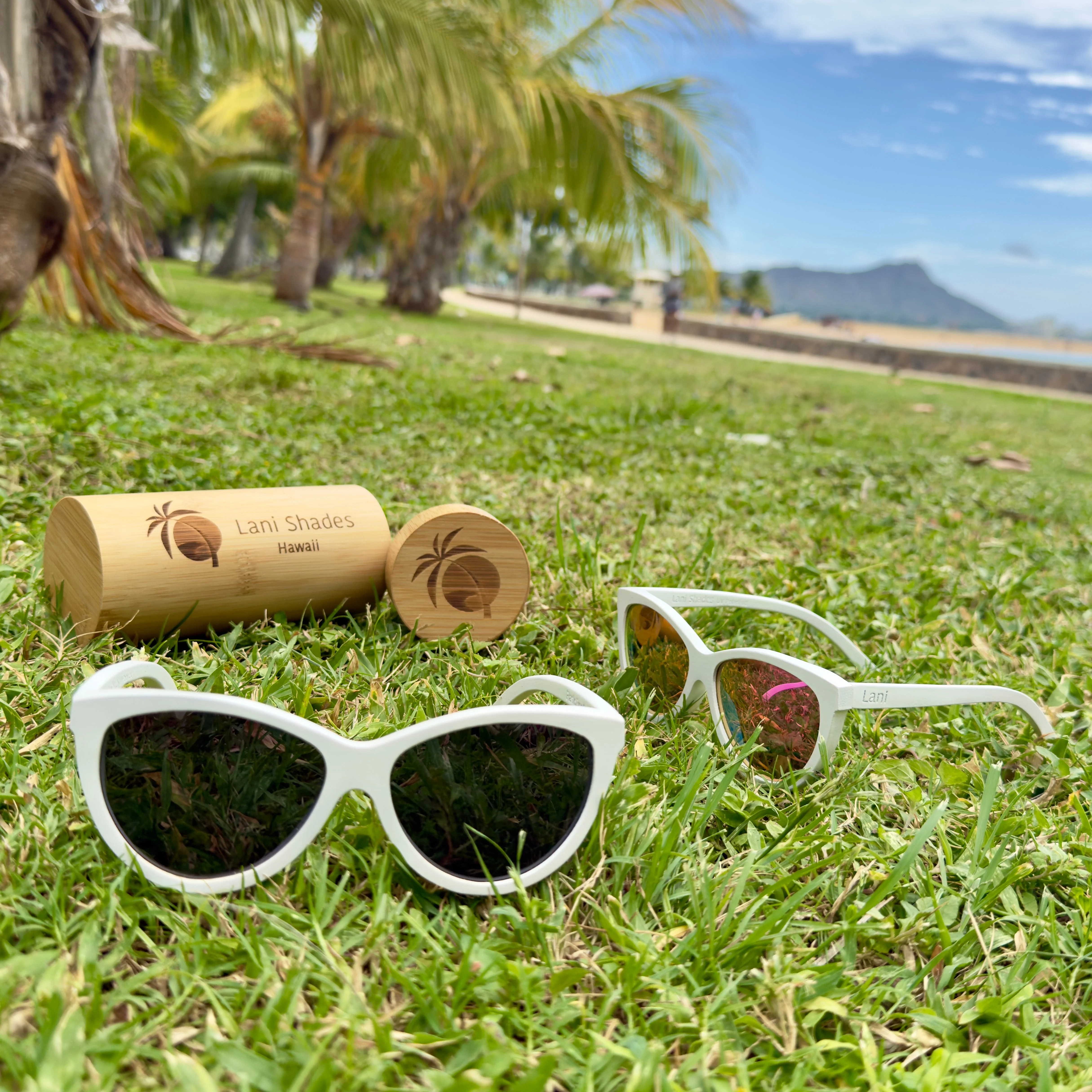 Waimea Ao - Image 12